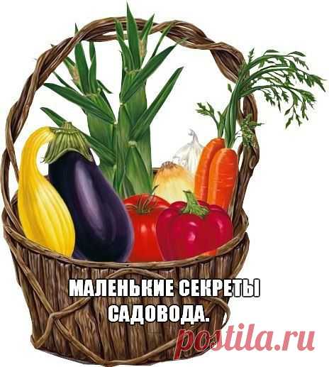 ✺ Все Самое Интересное ✺ | ВКонтакте