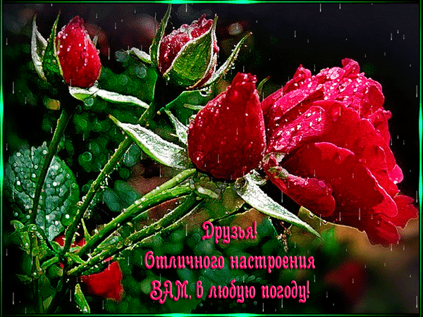Анимированная открытка для тебя