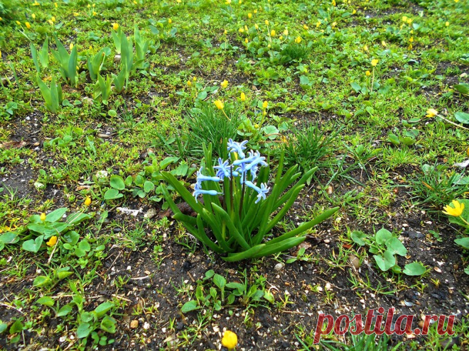 День апрельский зовёт на Природу - 13 Апреля 2016 - Персональный сайт
