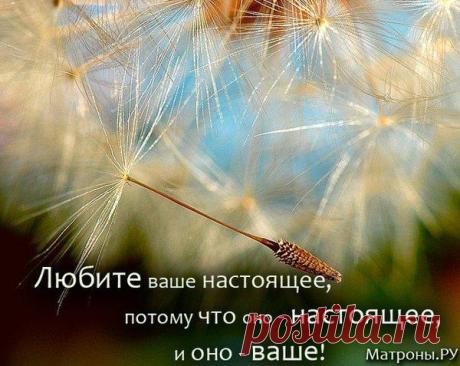 Любимая Жена (Набираю Учеников В Сёрф ) - 26 мая 2015 в 21:43