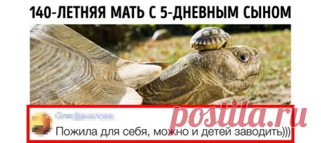 Спасибо, авторы, комментарии сделали мой день 😄