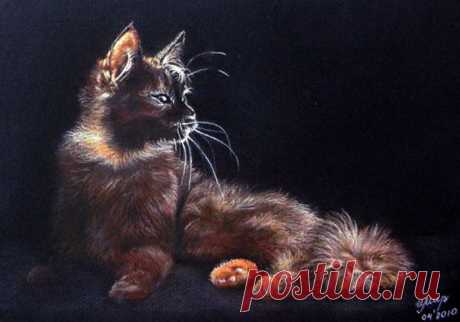 Художник Ирина Мирошникова
