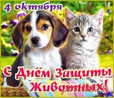 Всем, кто братьев наших меньших, любит и лелеет,
Кто ударить их, обидеть вовсе не умеет,
Тем сегодня поздравленья, пожеланий много,
В жизни радостной веселой светлую дорогу! Открытки на День защиты животных.