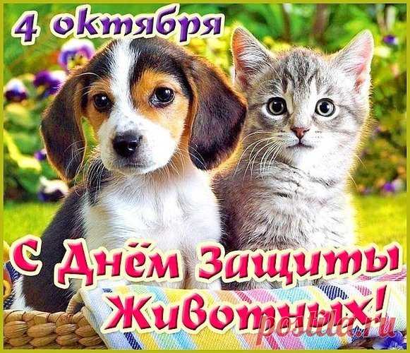 Всем, кто братьев наших меньших, любит и лелеет,
Кто ударить их, обидеть вовсе не умеет,
Тем сегодня поздравленья, пожеланий много,
В жизни радостной веселой светлую дорогу! Открытки на День защиты животных.