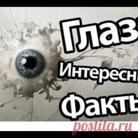 ИНТЕРЕСНЫЕ ФАКТЫ О ЗРЕНИИ.