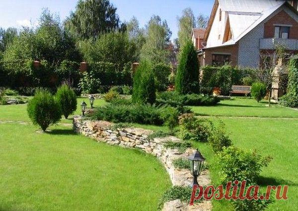 Растения для ландшафтного дизайна: как подобрать лучшие | Дом Мечты