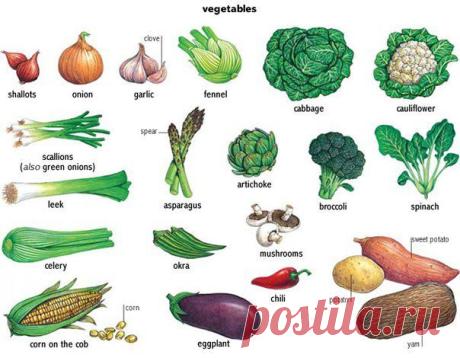 VEGETABLES | Учите Английский язык. Learn English