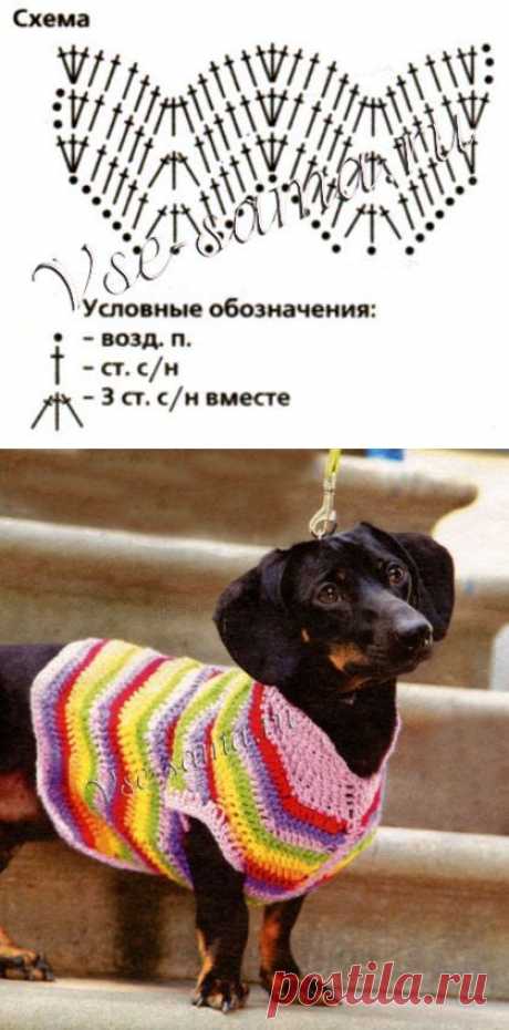 Жилет в полоску :)))
