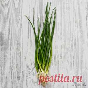 Шпаргалка на лето. Хотите знать чем удобрять?