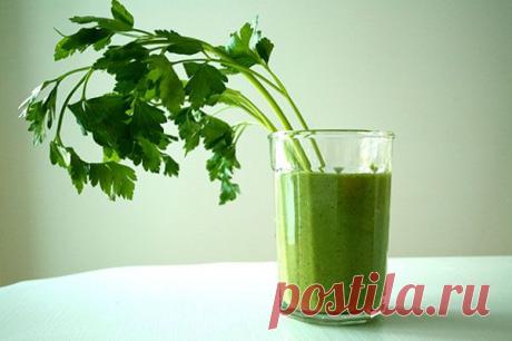 На личном опыте: детокс - новая мода или правильная замена диетам? | СПЛЕТНИК