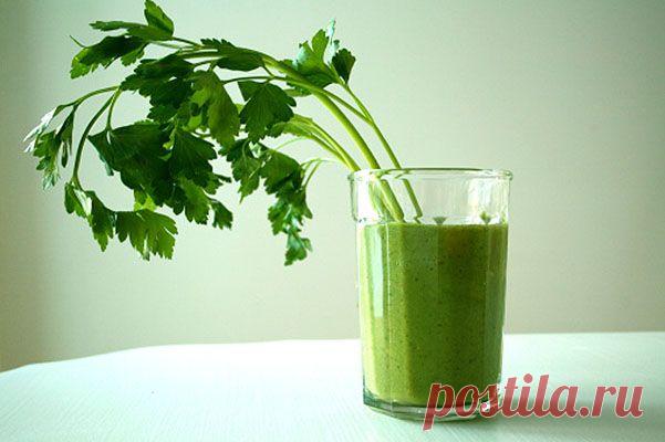 На личном опыте: детокс - новая мода или правильная замена диетам? | СПЛЕТНИК