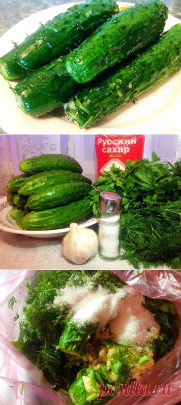 ОГУРЦЫ М/СОЛЬНЫЕ  В ПАКЕТЕ - ЗА 3 ЧАСА !!!  **Огурцы свежие 1кг -удали концы с 2-х сторон,  сахар 1ст/л, соль 1ст/л, прес/чеснок 1зуб, укроп сушеный, петрушка свежая. *Пакет завяжи, и стряхивай, перемешивая. *Или в контейнере, или майонезном ведерке.