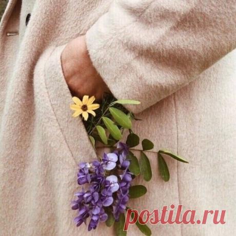 "Я живу, как умею.
Ни о чем не жалею.
Нахожу и теряю
и с нуля начинаю.


Я бы Вам рассказала,
да меня не спросили,
как порой предавали,
даже те, кто любили.


Только я не сдавалась.
Я сквозь слезы смеялась.
И чтоб там не случилось.
Я собою осталась."
© Н.Юрис