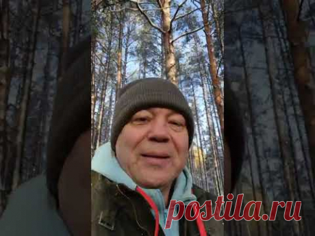 Отзыв  Тонбустер #tonbooster #криптовалюта #монетаTon