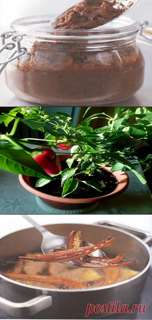 Паста с перцем чили – для любителей «перченного» | Крестьянка | Яндекс Дзен