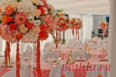 Люся и Вадим - Наши свадьбы - Свадебное агентство Идеальная Свадьба