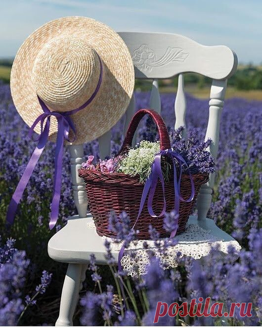 Я раньше спешила, теперь не спешу.
Гуляю и воздухом свежим дышу.
Гуляю и с миром окрестным общаюсь,
С ним утром здороваюсь, к ночи прощаюсь.
Куда я спешила? Никак не пойму.
Куда торопилась? Зачем и к кому?
Куда и зачем, и к кому торопилась?
Я, видно, на светлые дали купилась.
А как поняла, что, мерцая, маня,
Пресветлые дали морочат меня,
Что день и сегодняшний полон свеченьем,
Я с бега на шаг перешла с облегченьем.

© Лариса Миллер