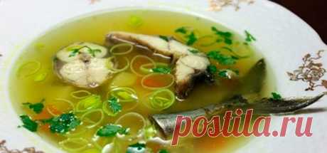 Уха из свежемороженой скумбрии, вкусные рецепты с фото