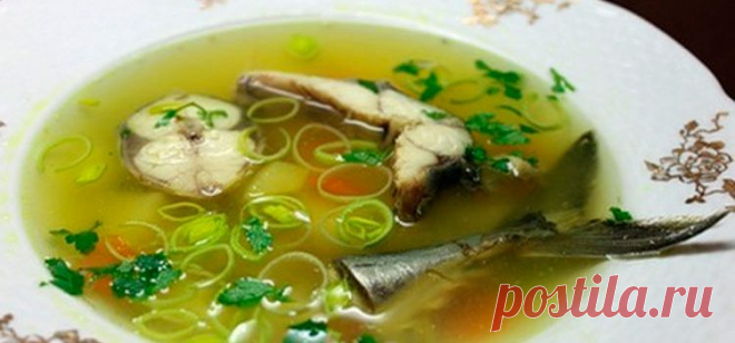 Уха из свежемороженой скумбрии, вкусные рецепты с фото