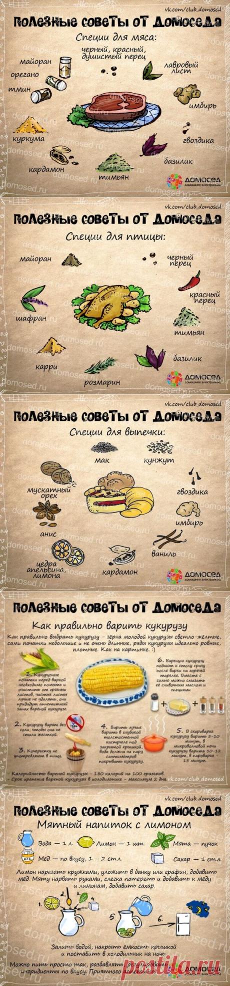 >Полезные советы от Домоседа - кулинария