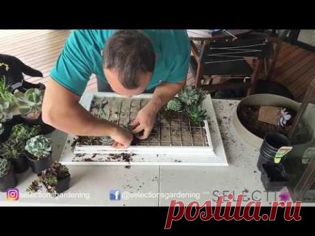Living wall art