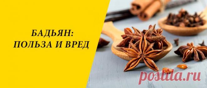 Бадьян: польза и вред для здоровья организма человека Бадьян: история и состав, лечебные рецепты, применение в косметологии и кулинарии, польза и вред для здоровья организма человека.