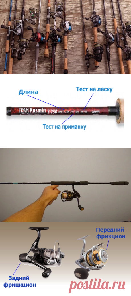 Как выбрать спиннинг начинающему рыболову | Охота и Рыбалка | Яндекс Дзен