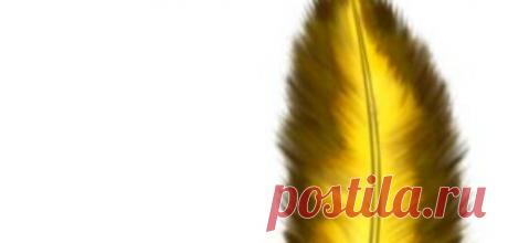 Мой Мир@Mail.Ru