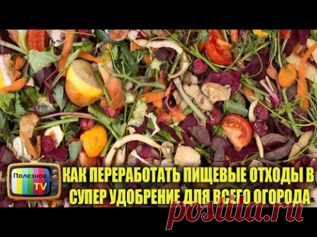 КАК ПЕРЕРАБОТАТЬ ПИЩЕВЫЕ ОТХОДЫ СУПЕР УДОБРЕНИЕ ДЛЯ ВСЕГО ОГОРОДА