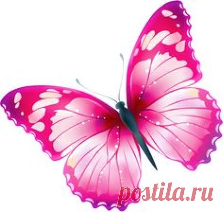 Яндекс.Фотки