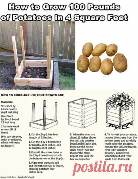 20+ Vertical Vegetable Garden Ideas | Home Design, Garden & Architecture Blog Magazine