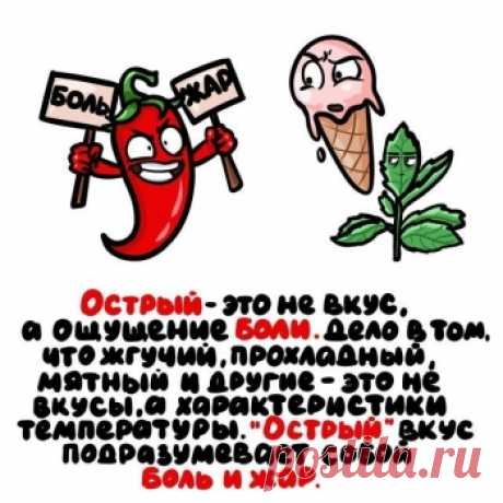 Свежая подборка интересных фактов и познавательной информа - «Фото приколы» Свежая подборка интересных фактов и познавательной информации на самые разные темы. Отличная возможность узнать что-то новое, чтобы затем блеснуть своей эрудицией в компании друзей или родных...