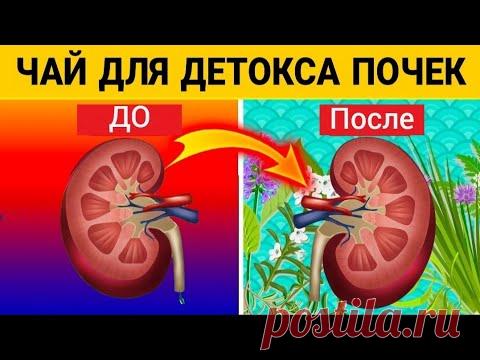 СОХРАНИ СВОИ ПОЧКИ / ПРОСТОЙ ЧАЙ ДЛЯ ЗДОРОВЬЯ ПОЧЕК