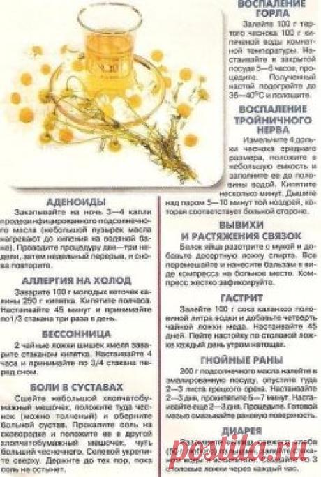 Одноклассники