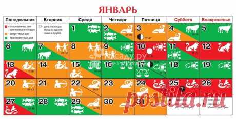 Лунный посевной календарь садовода на январь 2020 Посевной календарь на январь 2020 год таблица. Какие работы проводить по лунному календарю, благоприятные дни для выполнения работ на даче в январе