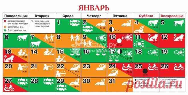 Лунный посевной календарь садовода на январь 2020 Посевной календарь на январь 2020 год таблица. Какие работы проводить по лунному календарю, благоприятные дни для выполнения работ на даче в январе