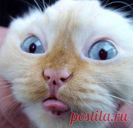 Интересные фотки (25шт)