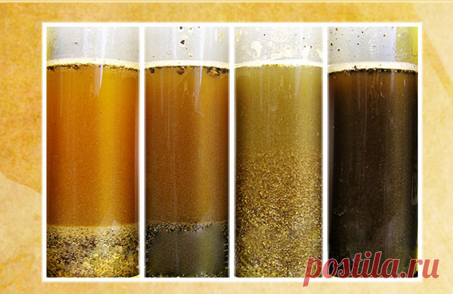 Выкинь пачку с молотым перцем, если найдешь в нем ЭТО! Печальная правда о популярной приправе.