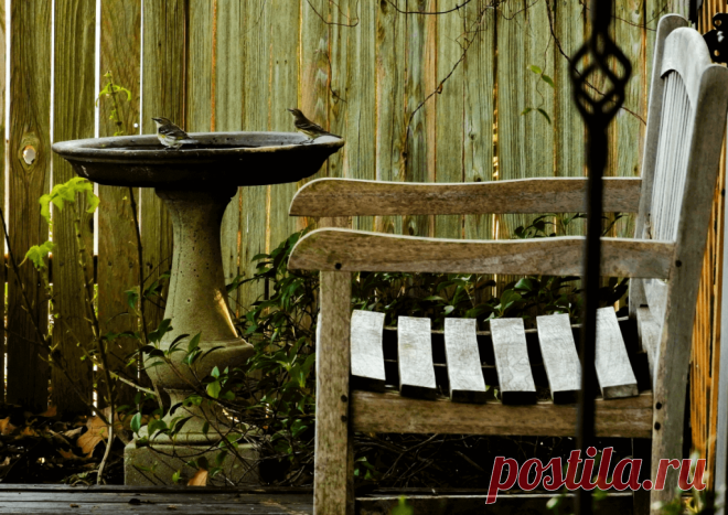 Календарь сезонных работ в саду: декабрь - Planetalsad