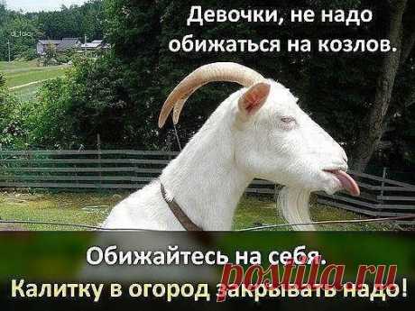 ПРАВДА ЖИЗНИ -2
