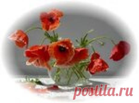 Яндекс Картинки: поиск похожих изображений