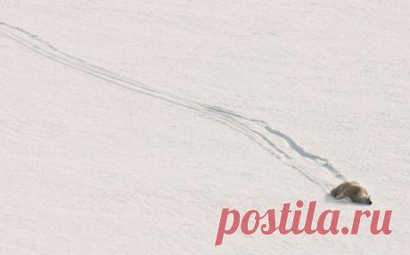 15 фоток с очень неожиданным сюжетом