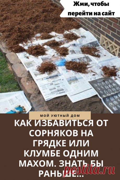 Как избавиться от сорняков на грядке