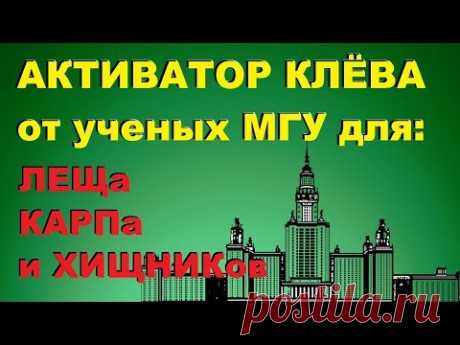 Я узнал результат исследования ученых МГУ / КАК СДЕЛАТЬ АКТИВАТОР КЛЁВА своими руками