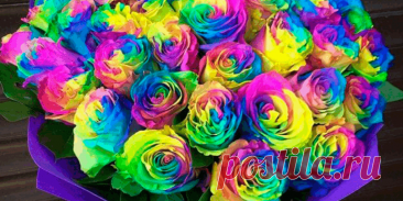 Цветики-семицветики - Как нас обманывают продавцы