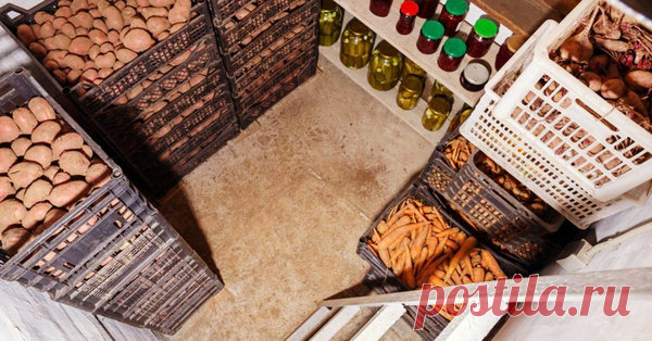 Народные хитрости чтобы избавиться от сырости в погребе | Сад-огород | Яндекс Дзен