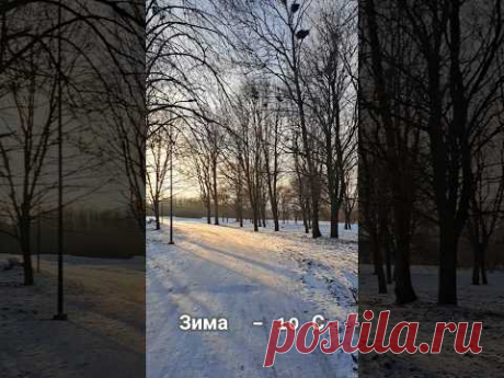 Настоящая зима!❄️ Как же я соскучилась по ней! #video #shorts #sorts #lithuania #vilnius #happy