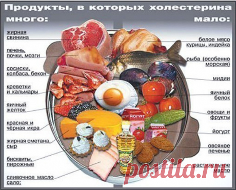 В каких продуктах много и мало Холестерина.