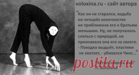 КНИГИ НАТАЛЬИ ВОЛОХИНОЙ
https://voloxina.ru/