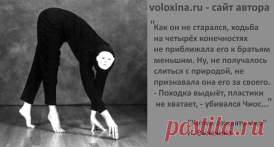 КНИГИ НАТАЛЬИ ВОЛОХИНОЙ
http://voloxina.ru/